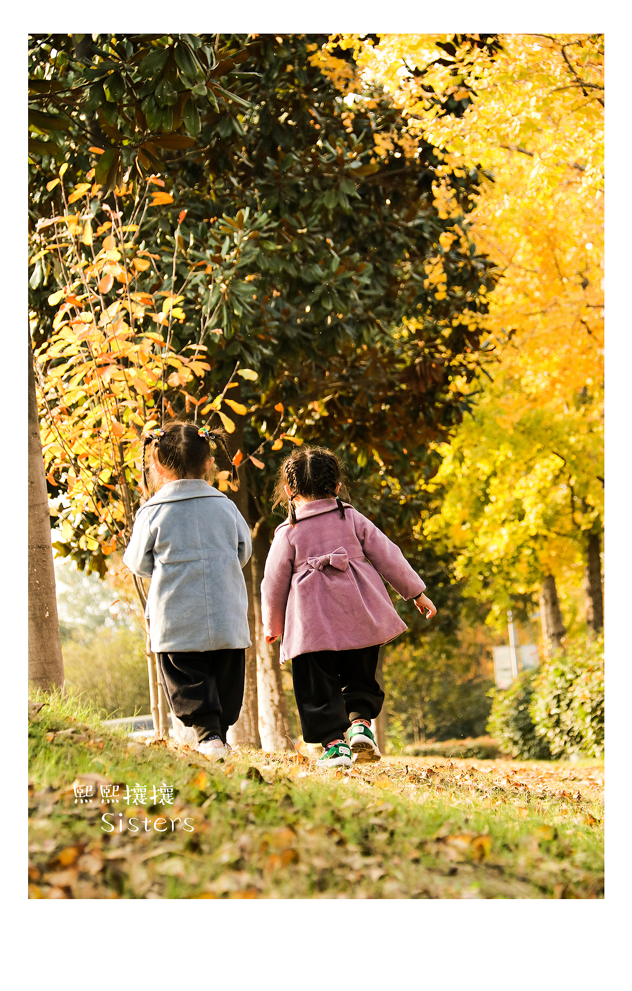 我的熙熙攘攘拍摄——秋天落叶（图ZMTgzMzcxOTg0） - 人像摄影 - 站酷设计师我的熙熙攘攘原创素材 - 站酷ZCOOL