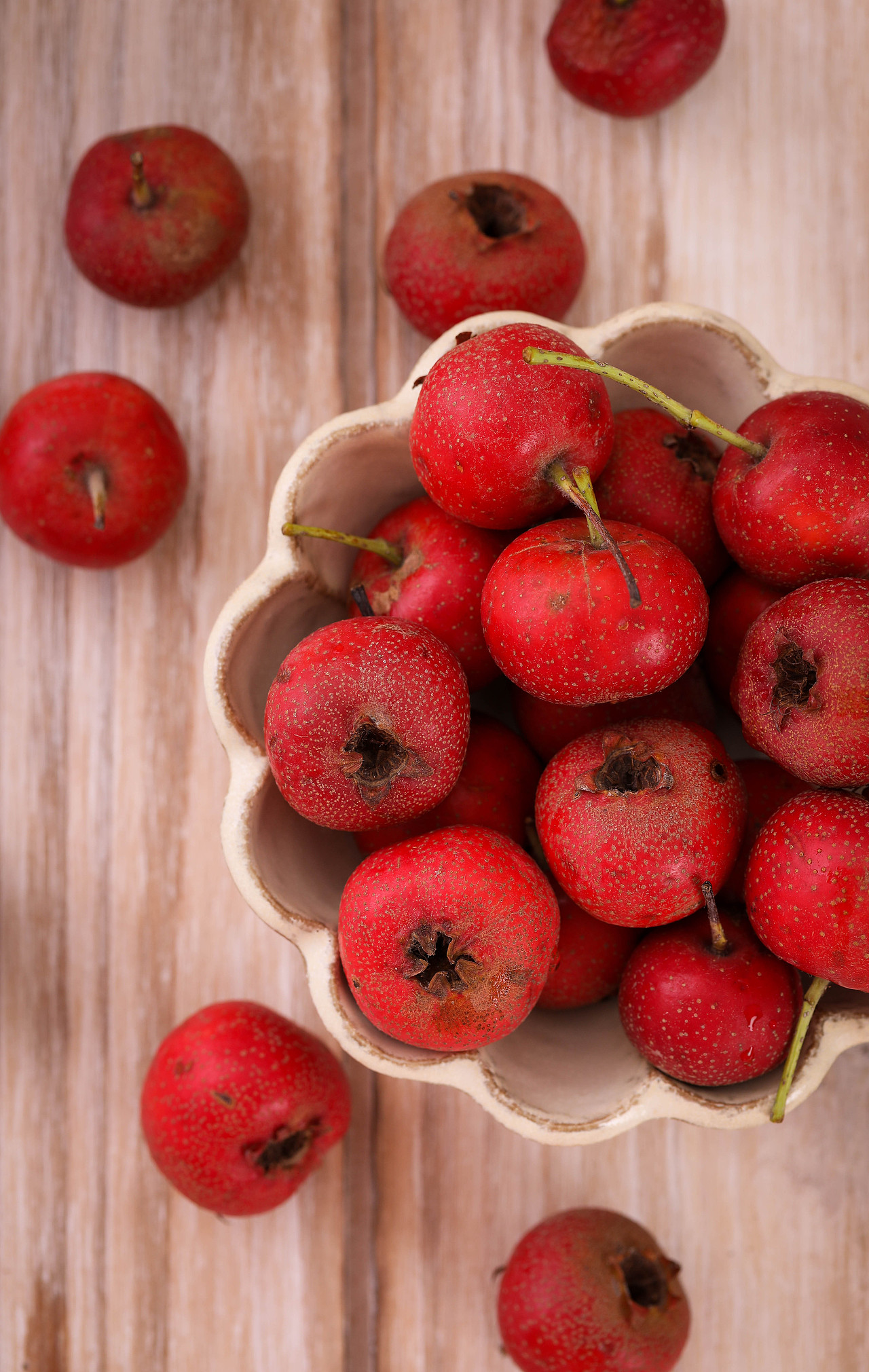 「万物皆可拍」