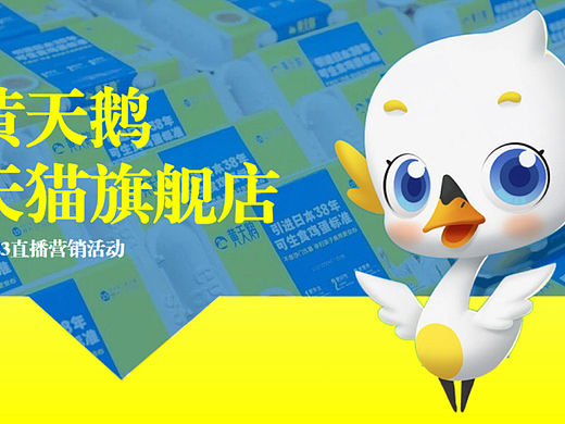 2023黄天鹅鸡蛋代直播营销方案-37P