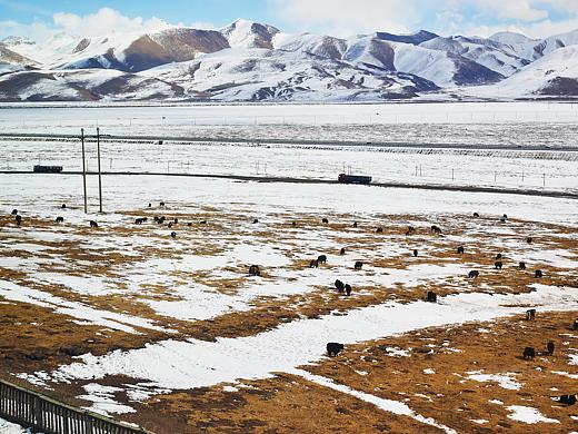 关于冬日的青藏铁路/青藏线-车厢上拍摄