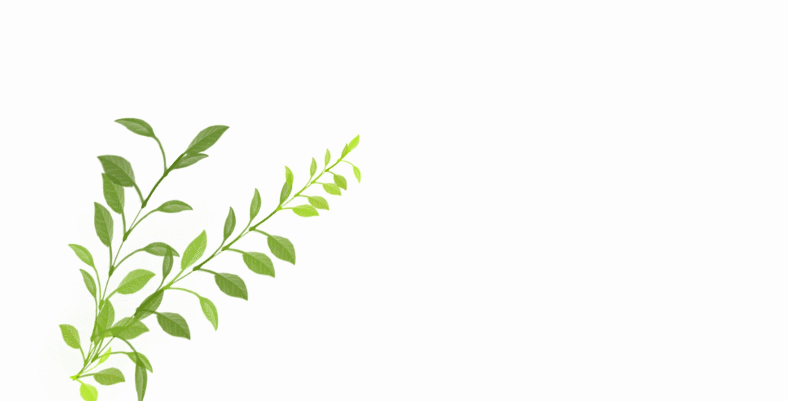 灵华西方画笔5.0（图ZNjU3Mjg0MTI=） - 其他 - 站酷设计师解构自己原创素材 - 站酷ZCOOL