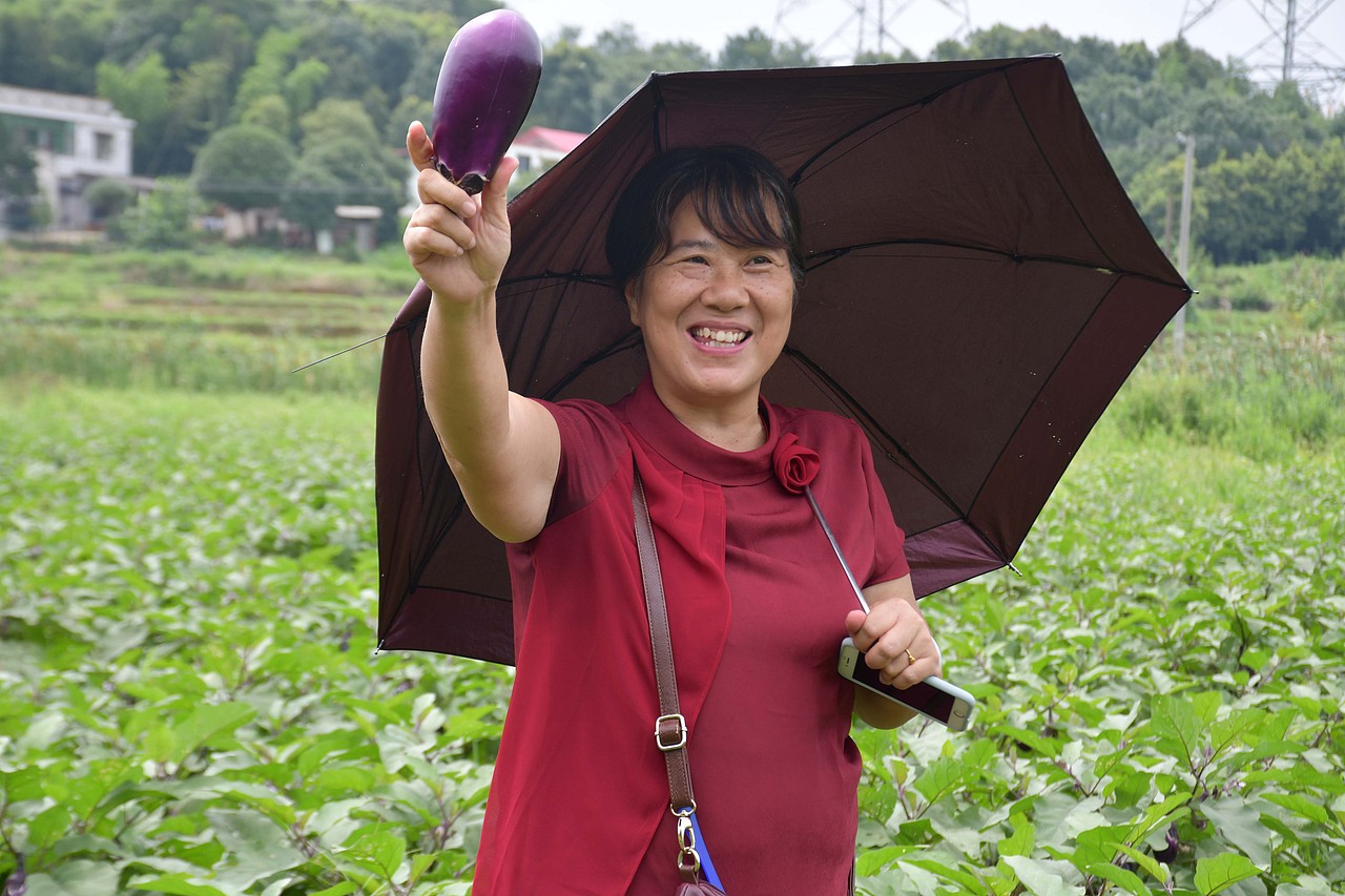 黄篮子生鲜会员探访黄篮子蔬菜种植基地 - 天然无公害