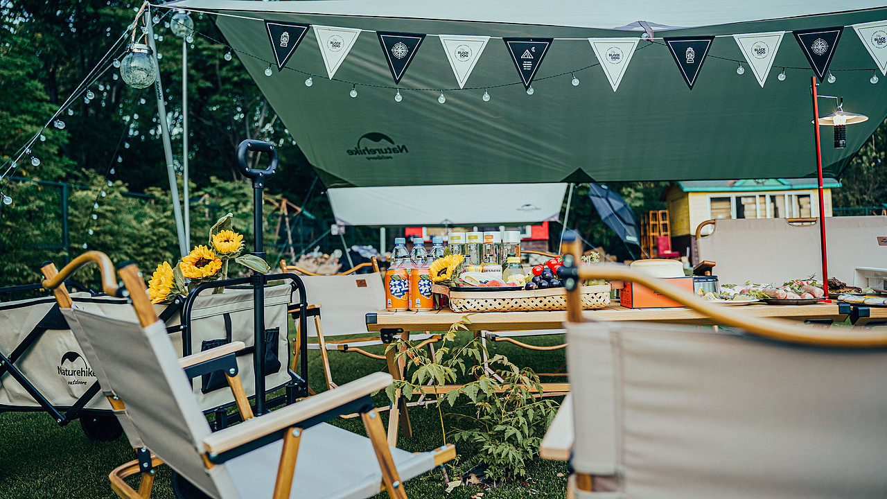 南京绿博园左岸花海露营