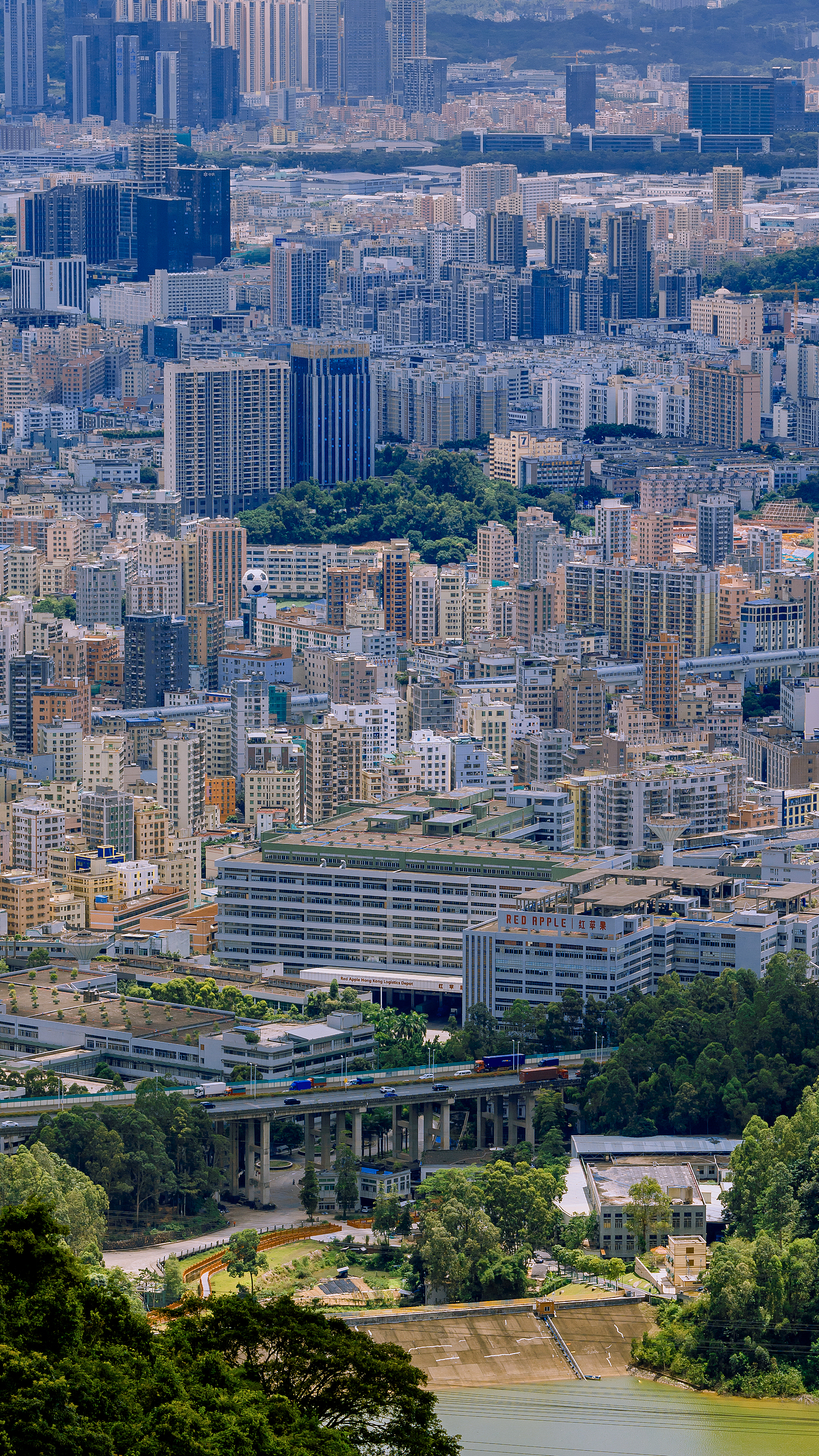 深圳湾全景纪实（图ZMjIyMDEyNTcy） - 人文/纪实摄影 - 站酷设计师拾光朝圣者原创素材 - 站酷ZCOOL