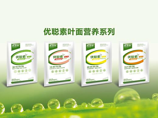 优聪素叶喷系列包装