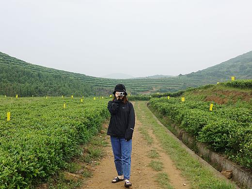 俞山岛#一个没有被开发的小岛
