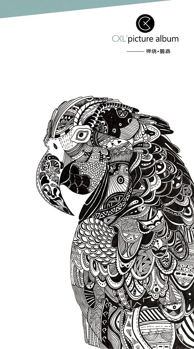 禅绕—鹦鹉|插画|创作习作|晓爷style - 原创作品 - 站酷 (zcool)