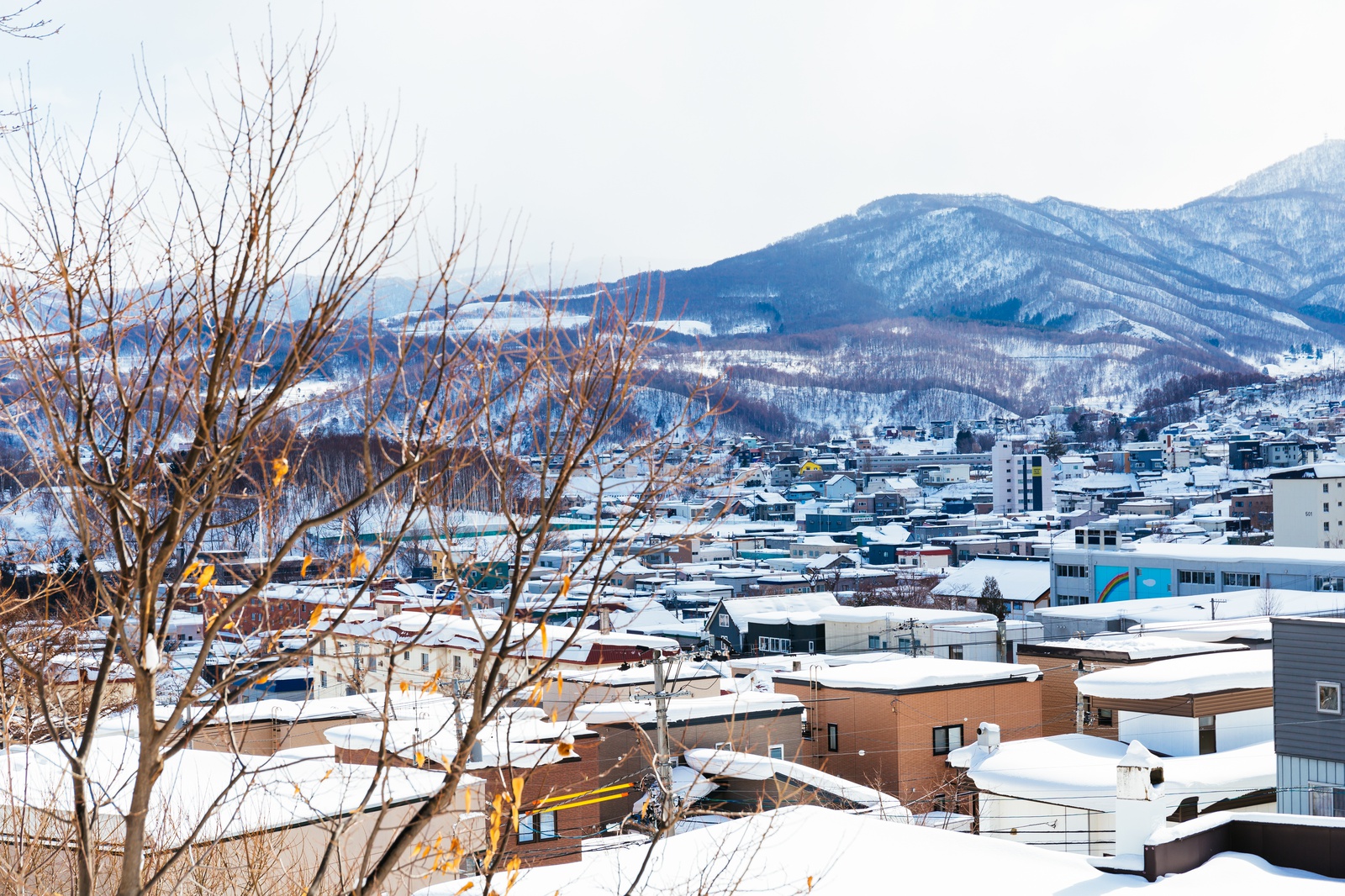 mzlvane的个人主页（封面预览） - 主页封面设置 - 站酷设计师mzlvane原创素材 - 站酷ZCOOL