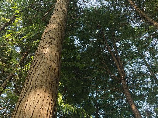 风景（个人主页-ZNzA1MTQ0NzY=） - 风光摄影 - 站酷设计师三指一寸原创素材 - 站酷ZCOOL