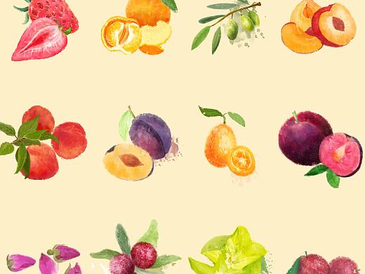 水果系插画