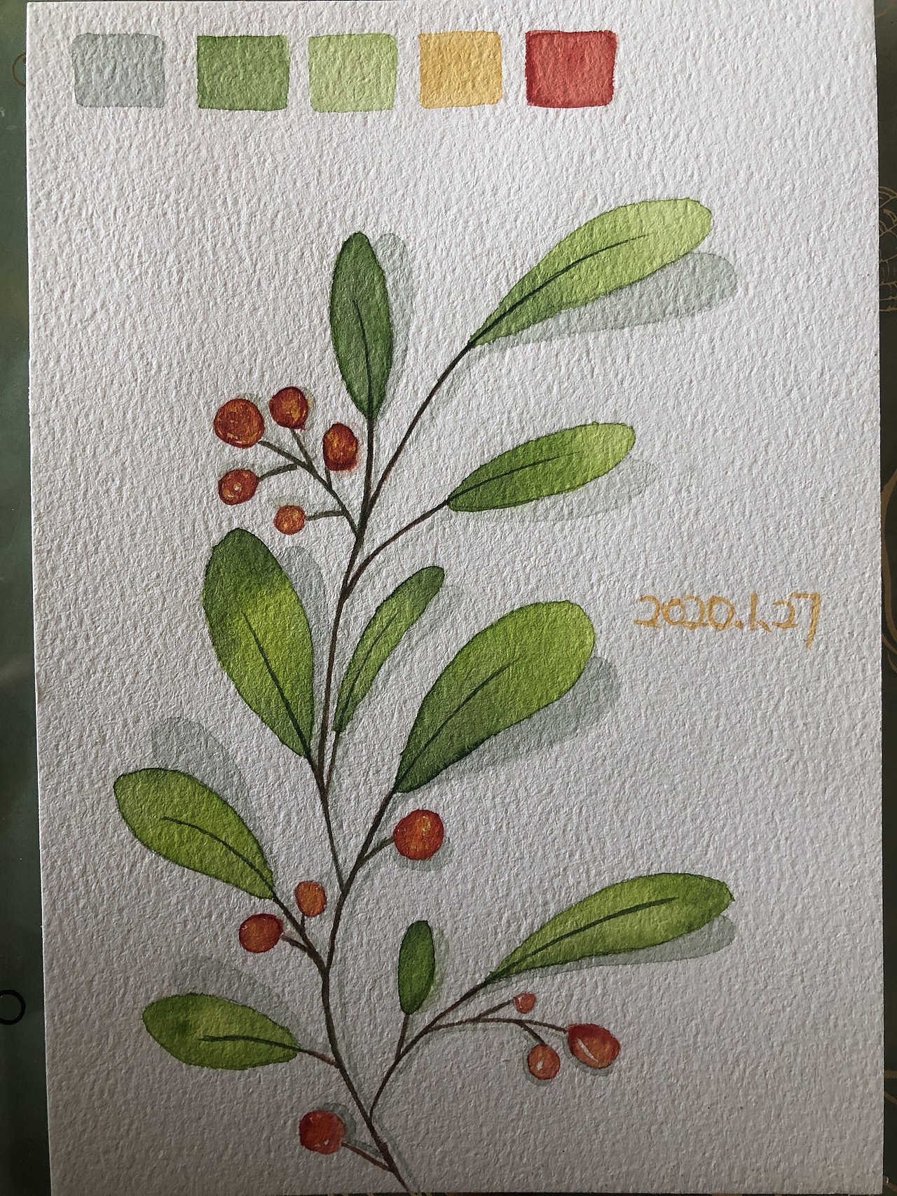 一组水彩小植物