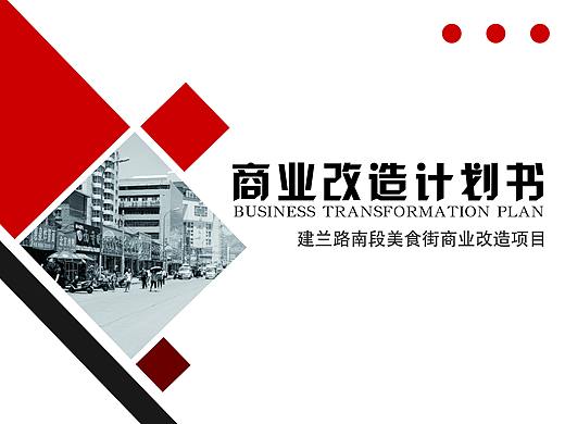 项目改造计划书