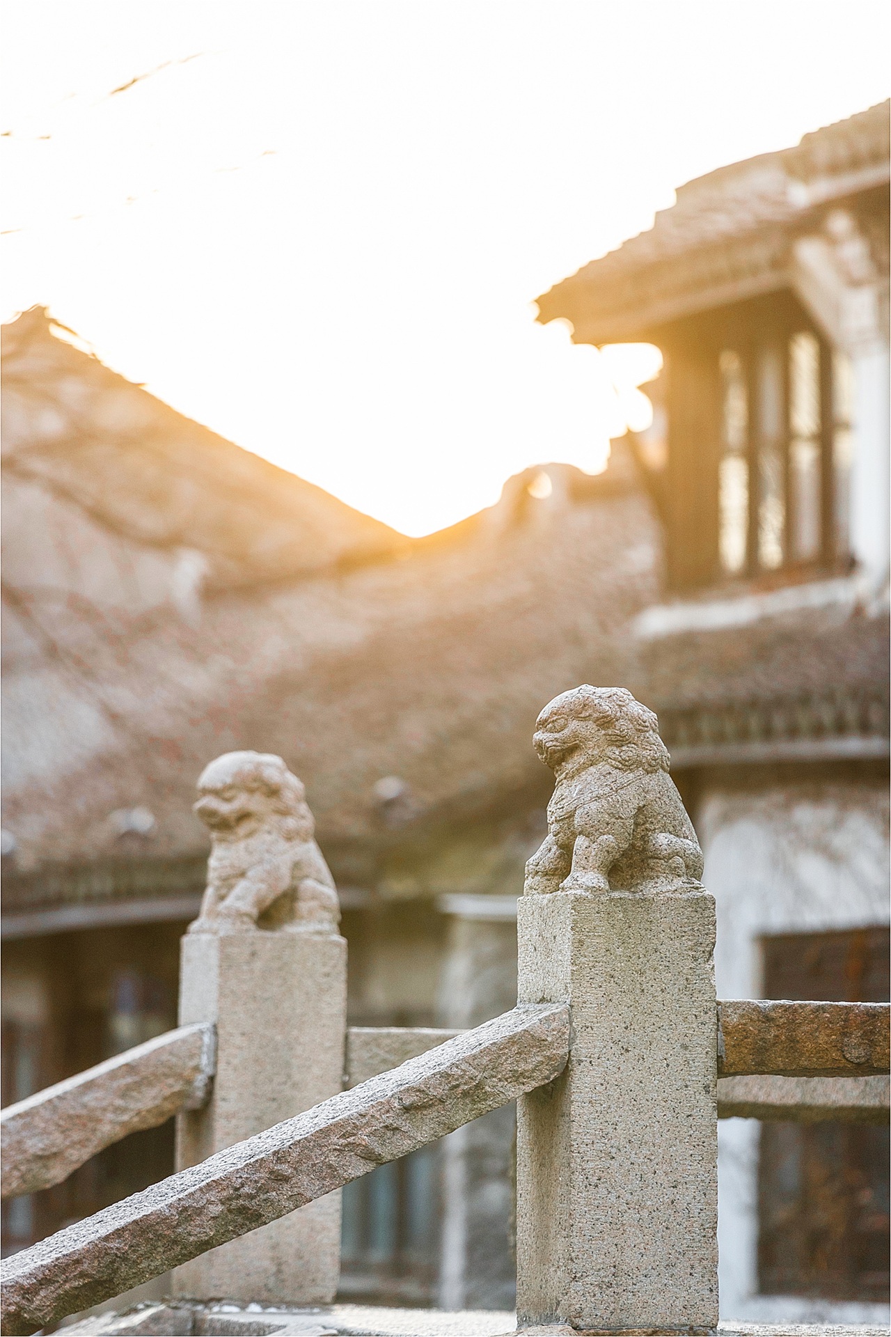 2020周庄古镇春色