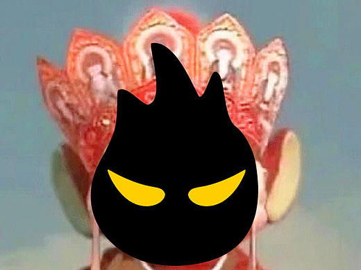 小Z——你看怎么样?