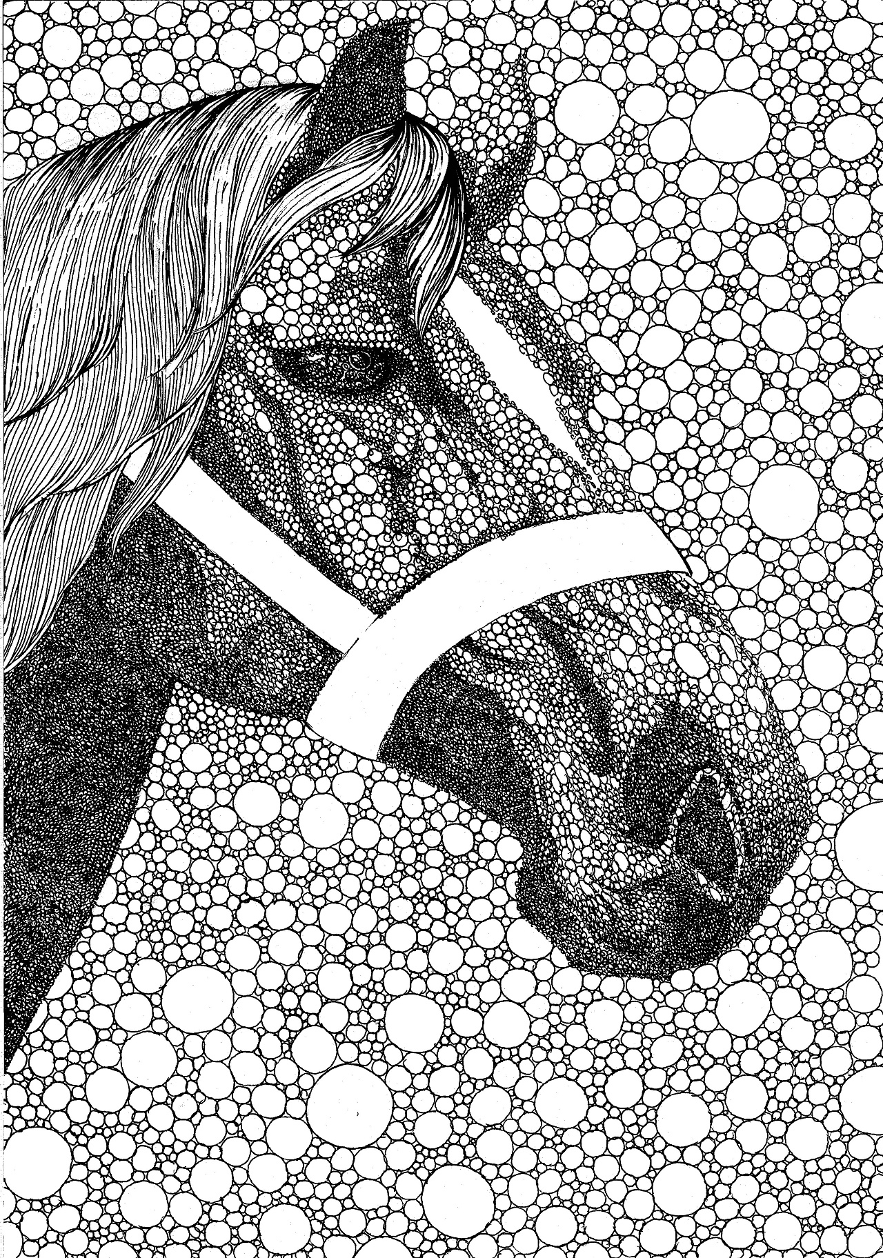 十二生肖---马|插画|涂鸦/潮流|袁俊彦 - 原创作品 - 站酷 (zcool)