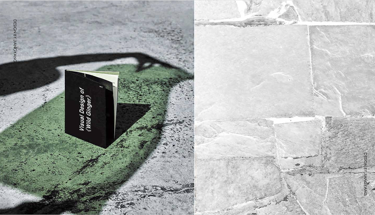 青年亚文化视觉设计-插画设计-野生姜