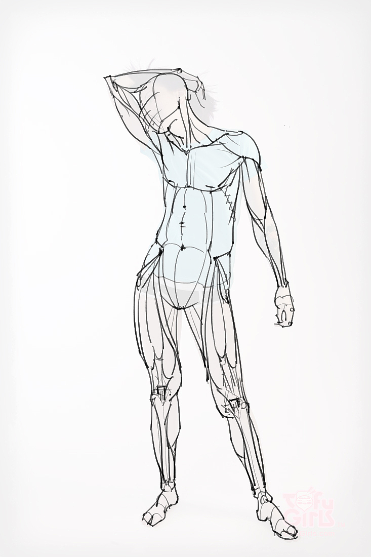 「素材」分享一波绘画专用人体解剖素材 part 09