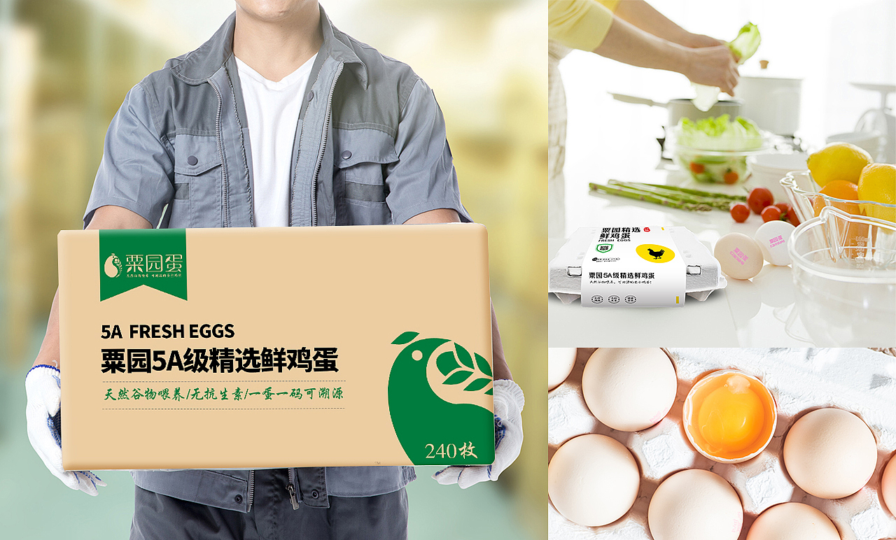 鸡蛋包装（图ZMTY3MzgwNTgw） - 包装 - 站酷设计师mzdanding原创素材 - 站酷ZCOOL