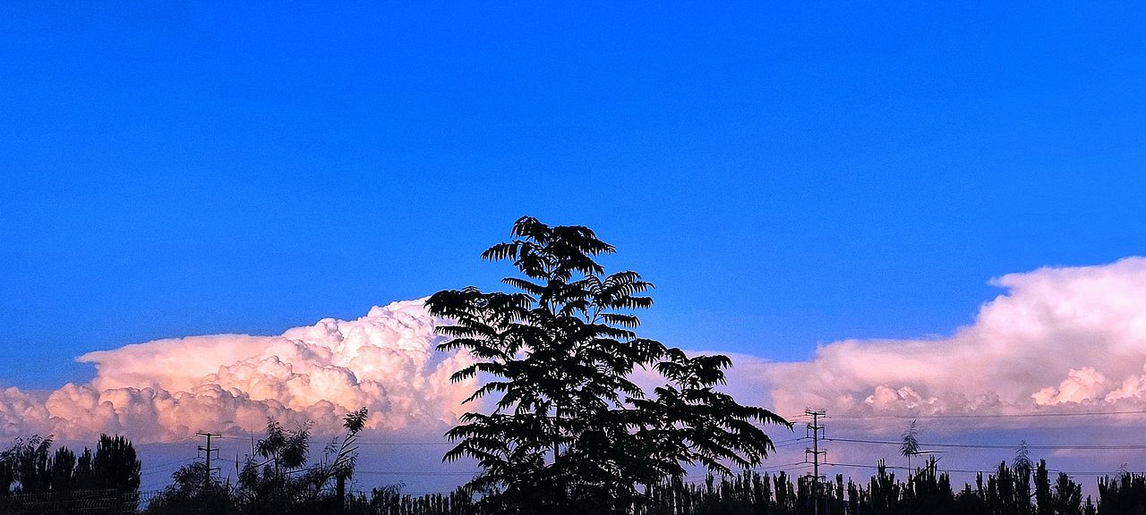 2022年度成野摄影作品