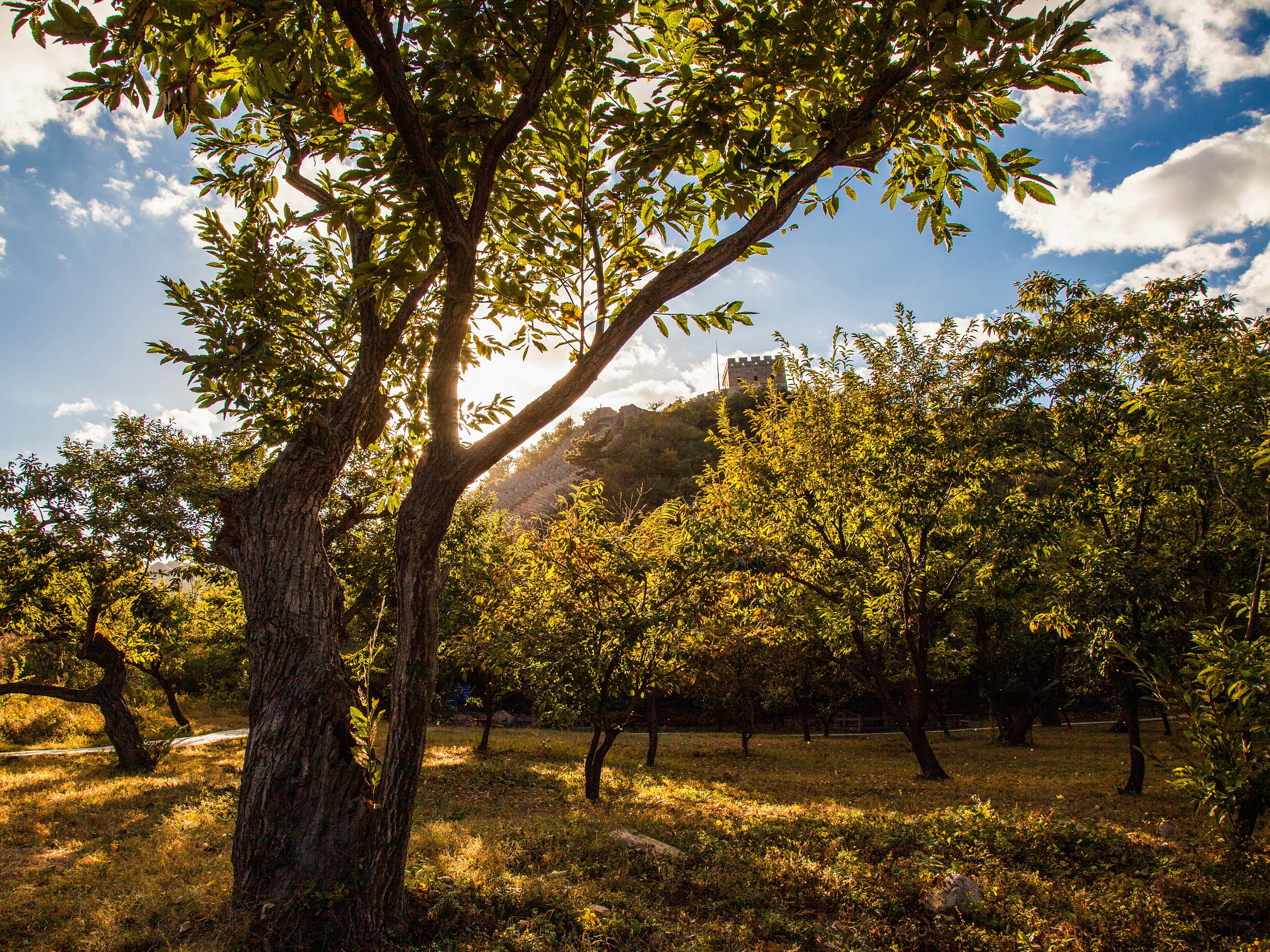 明代板栗园——北京怀柔黄花城水长城