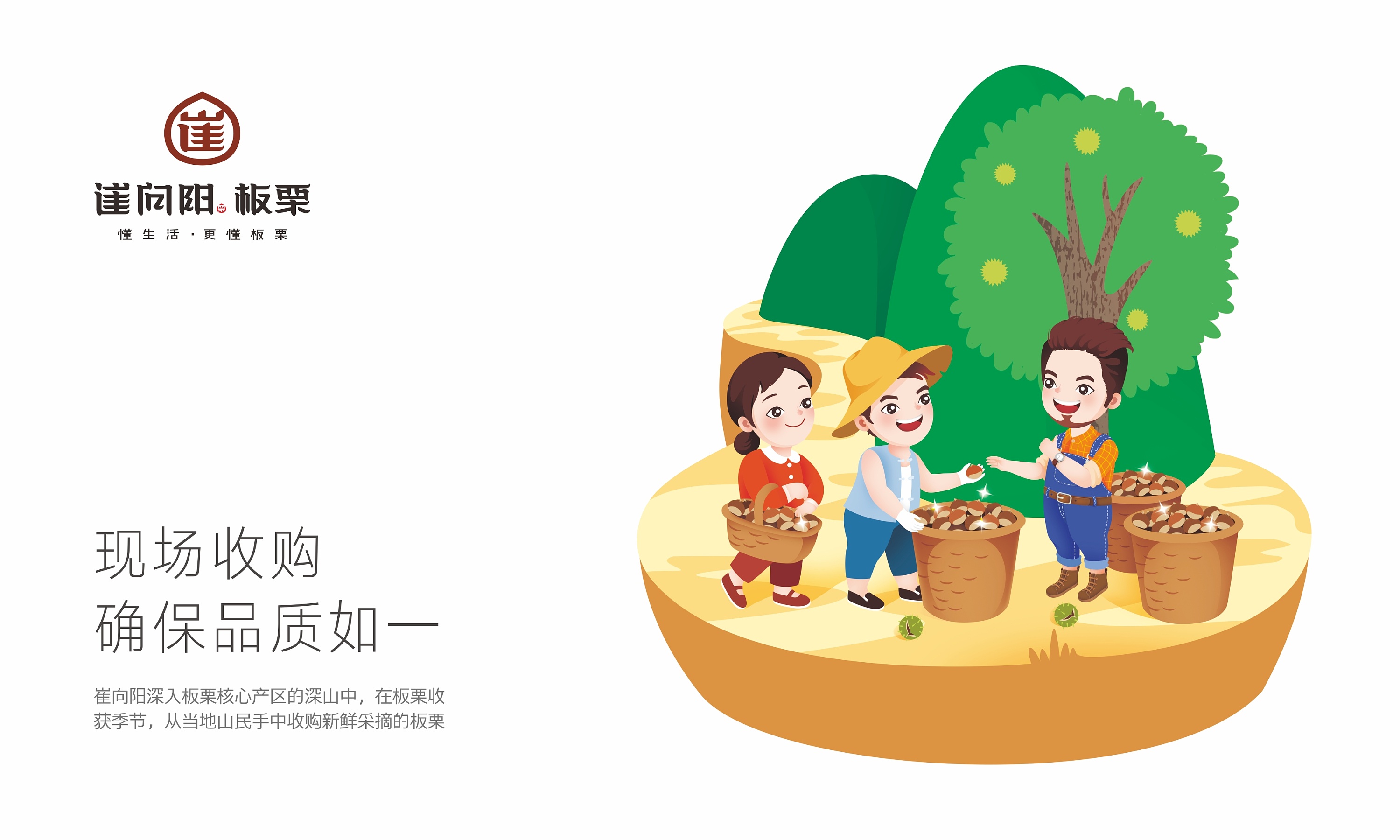 云顶创意案例:崔向阳板栗 品牌形象设计