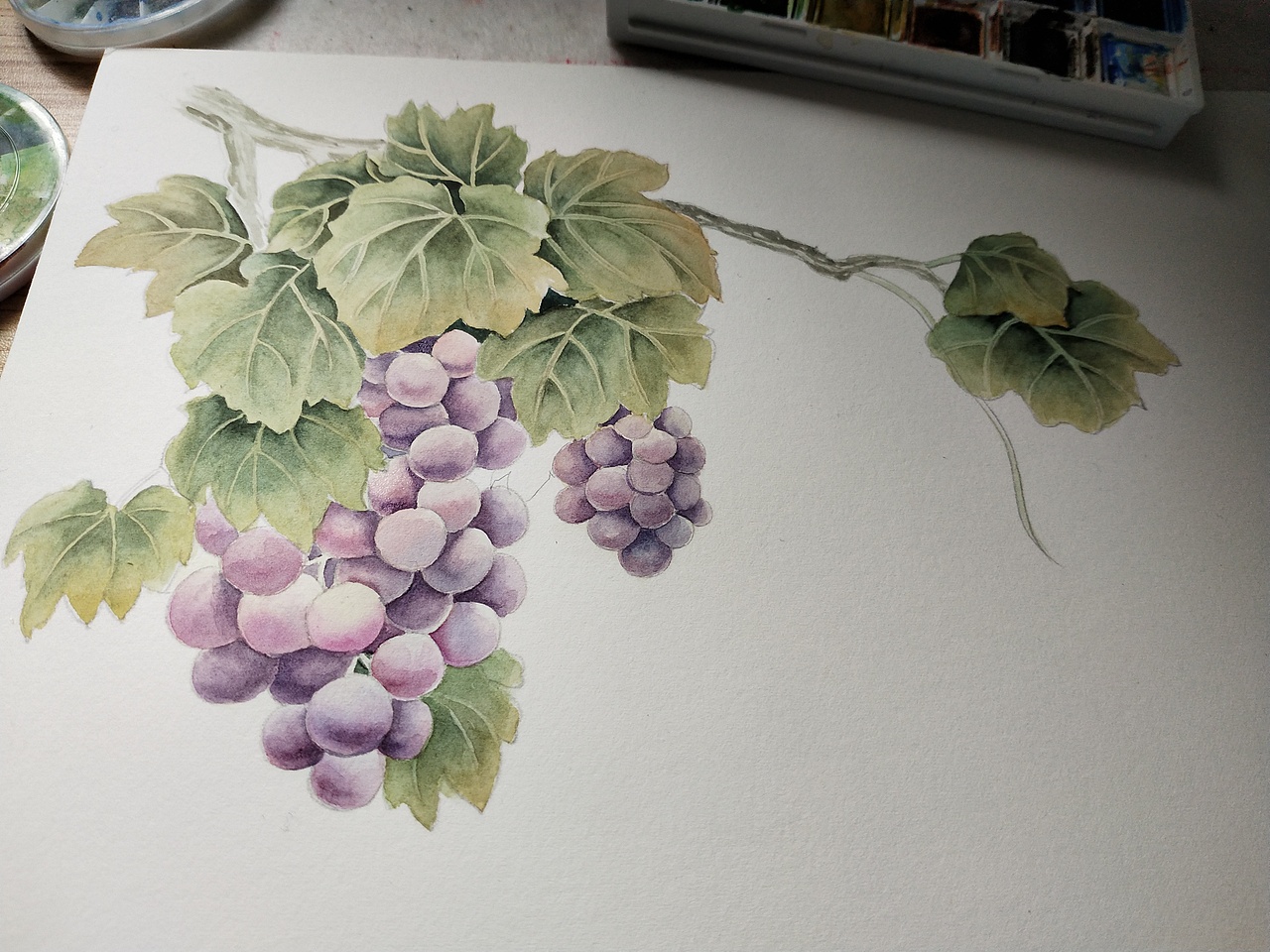 好久没画水彩了,有点像画工笔的感觉,怀念大学时光
