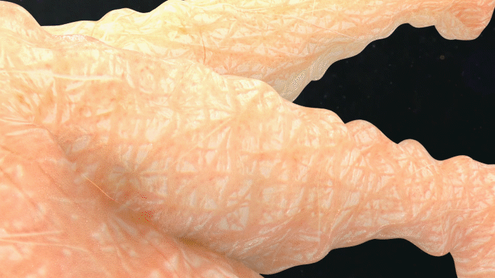 【2021年度作品合集】（图ZMjgzNTA5NDA0） - 动画/影视 - 站酷设计师Zoro_Han原创素材 - 站酷ZCOOL