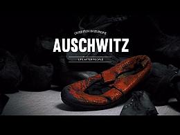 我去了趟奥斯维辛，才知道凶手并不只是纳粹