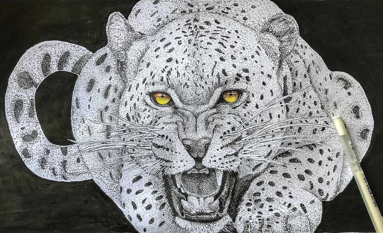 点绘豹子