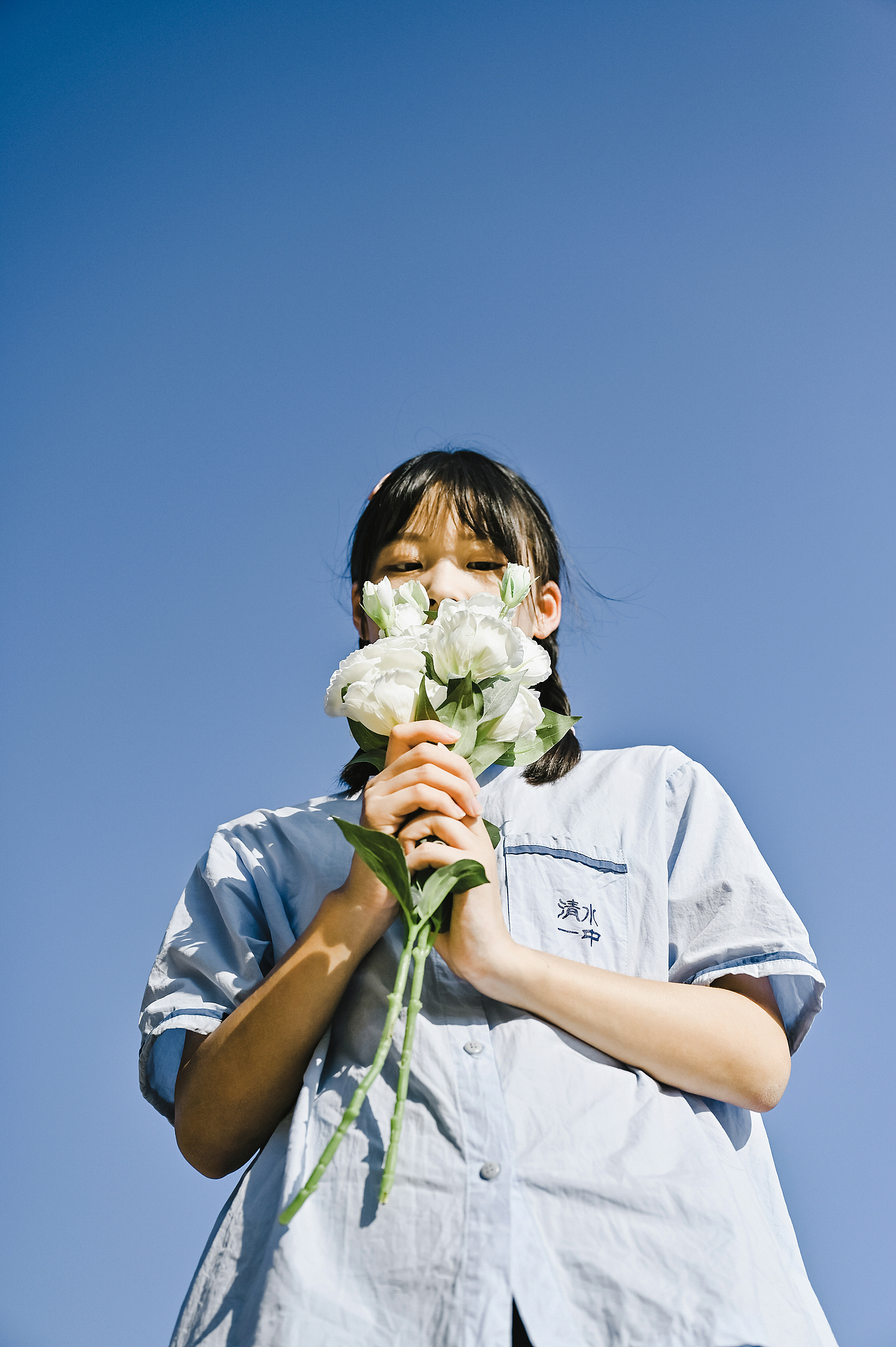 望着天空,我想起花瓣试着掉落