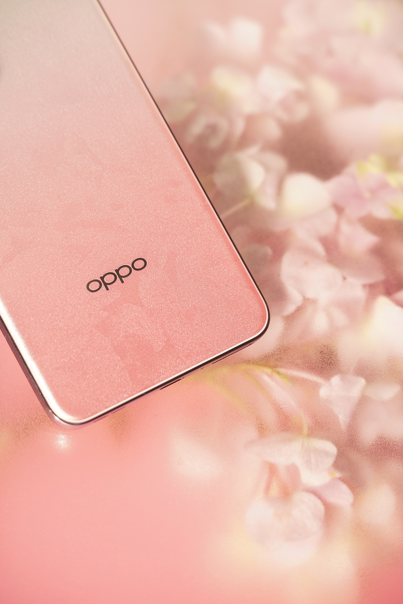 OPPO Reno12「柔和桃」图赏