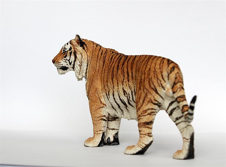 已灭绝虎种里海虎_画画的大飞-站酷zcool