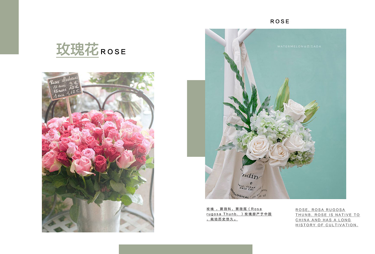 花店宣传画册|平面|书籍/画册|设计喵吖 - 原创作品 - 站酷 (zcool)