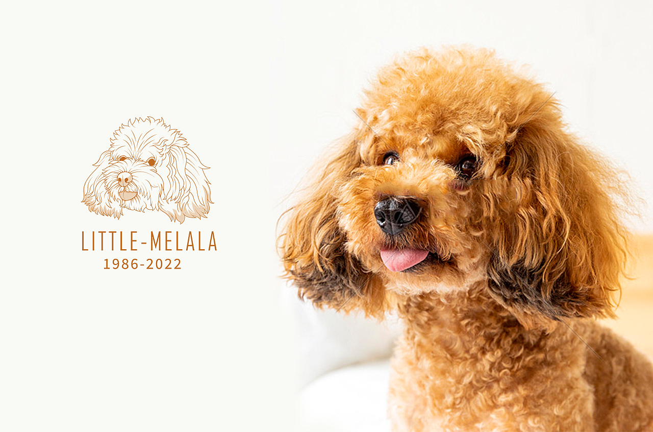 动物水果logo集合（图ZMzE1NTkyNDQ0） - Logo - 站酷设计师几舟原创素材 - 站酷ZCOOL