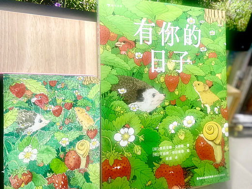 02画美书📕升审美|治愈绘本绘画练习