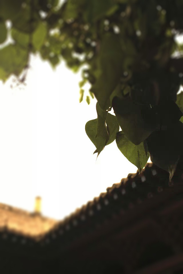 小游戏设计角色及场景-原创