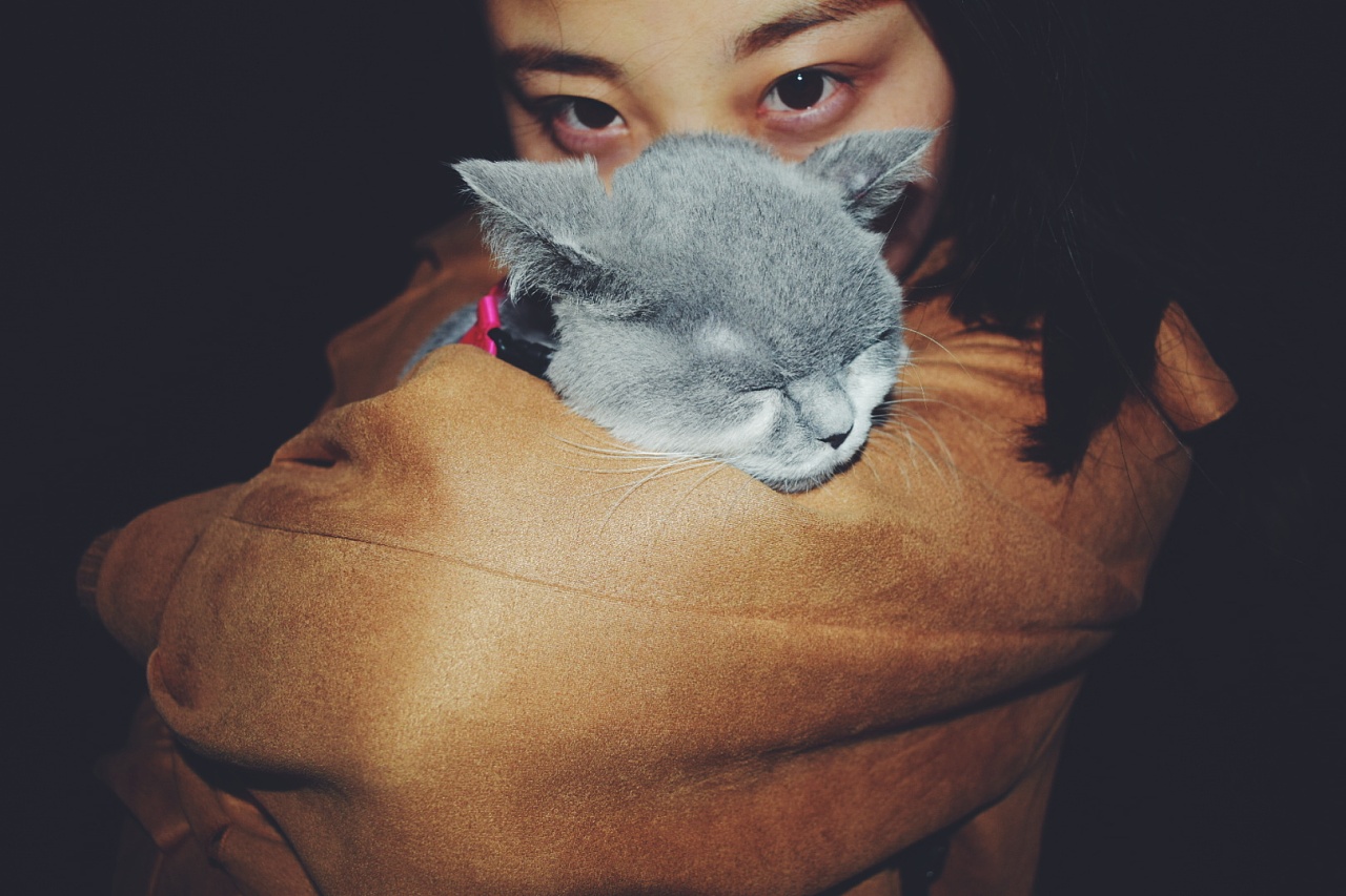 一猫,一人,一生