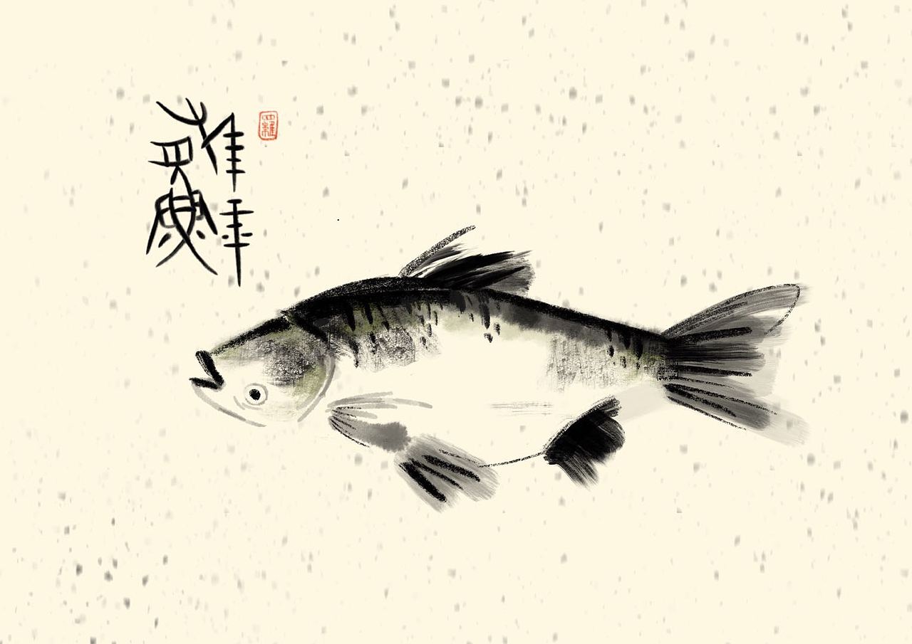 八鱼图（图ZMTM0MzM4MzEy） - 创作习作 - 站酷设计师楠楠的南瓜地原创素材 - 站酷ZCOOL