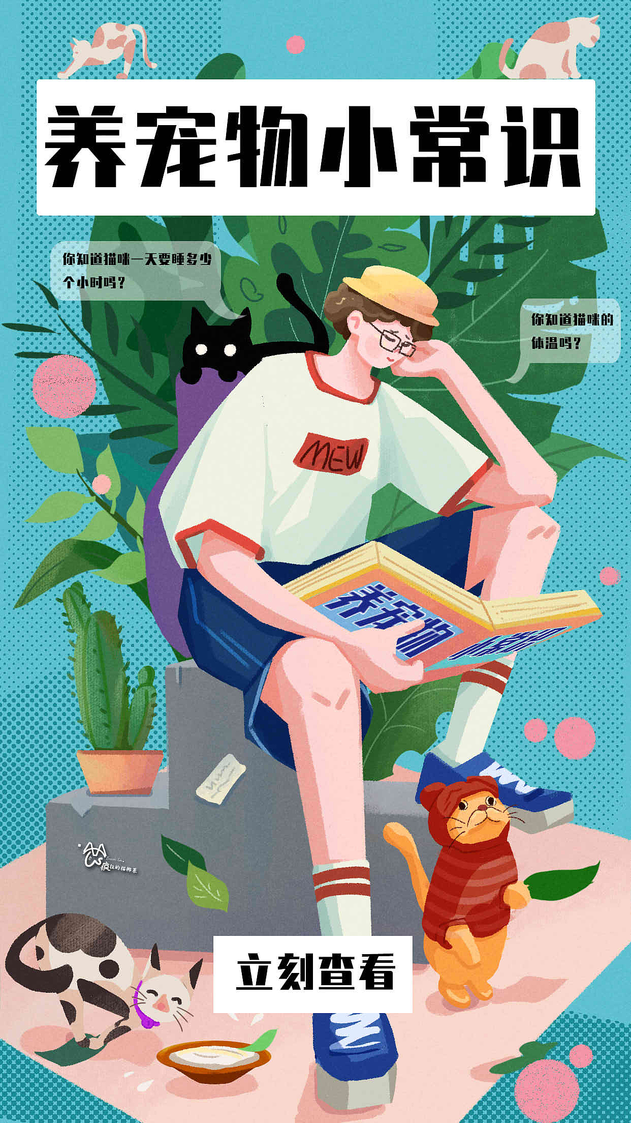 开屏练习