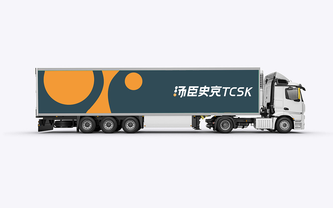 汤臣史克/大健康集团品牌