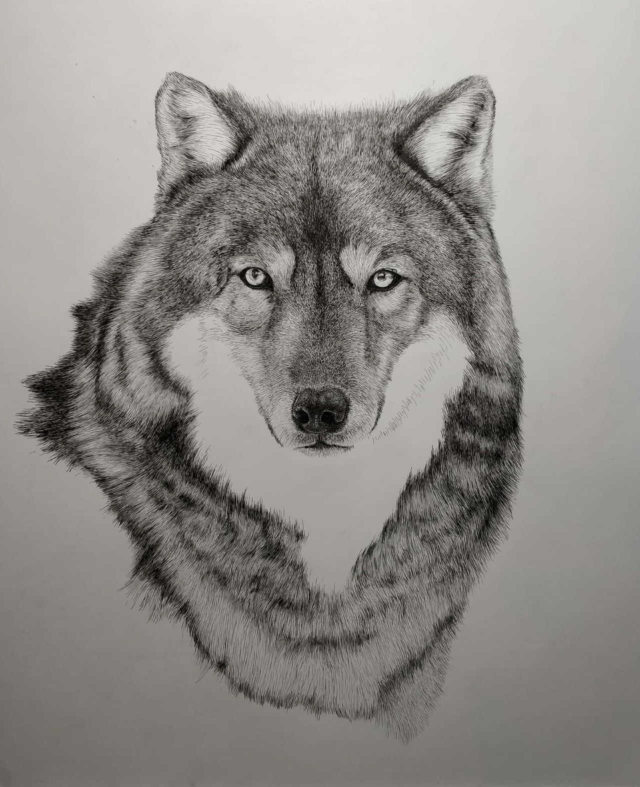 钢笔画（图ZOTk1NzIxMDg=） - 绘画 - 站酷设计师杨陶昰昱_ShiYu原创素材 - 站酷ZCOOL