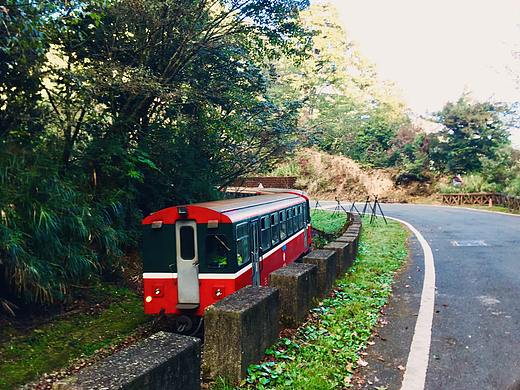 日月潭 阿里山