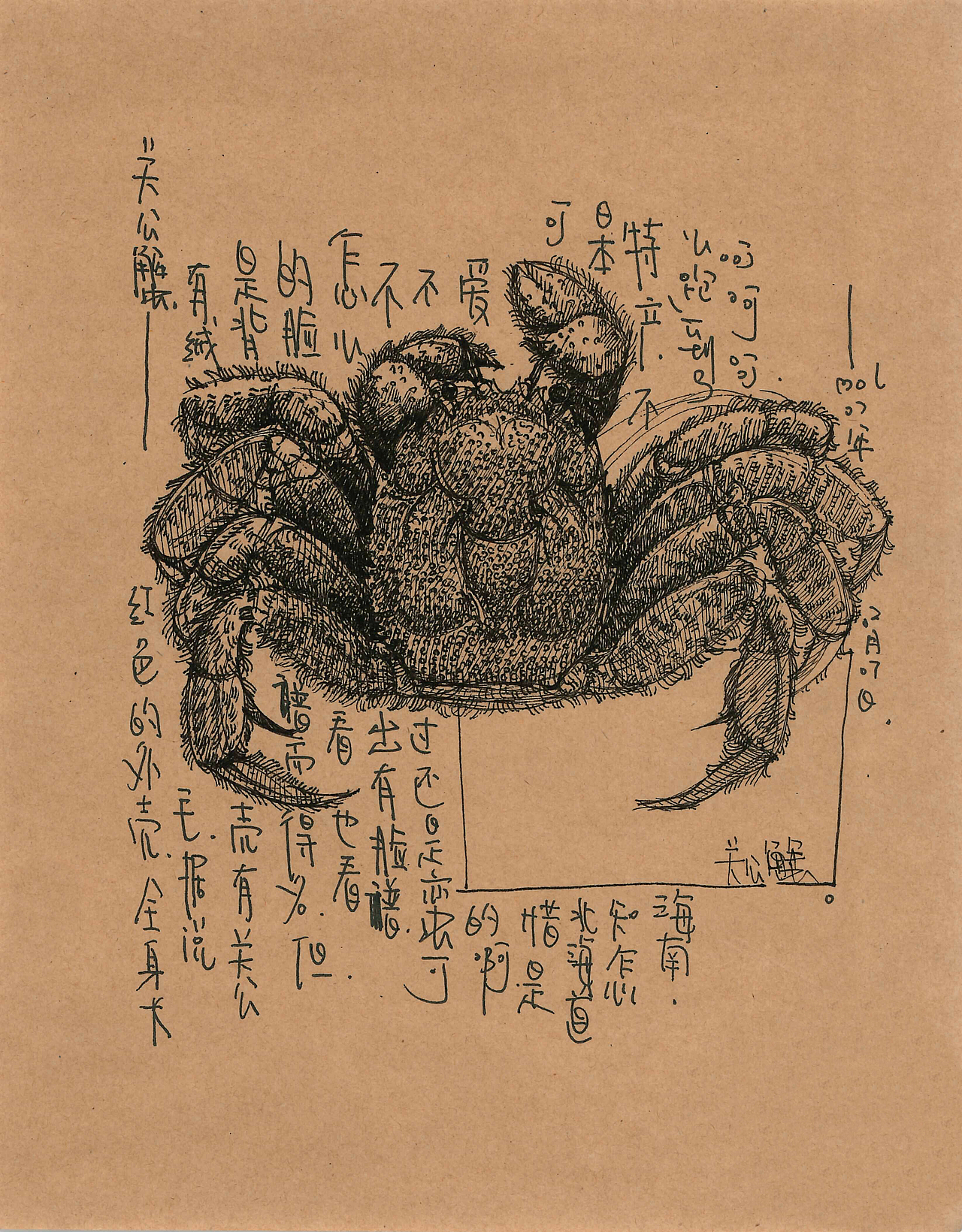 这个关于海鲜的插画手稿（终）（图ZMTM2ODExMTE2） - 创作习作 - 站酷设计师daimol原创素材 - 站酷ZCOOL
