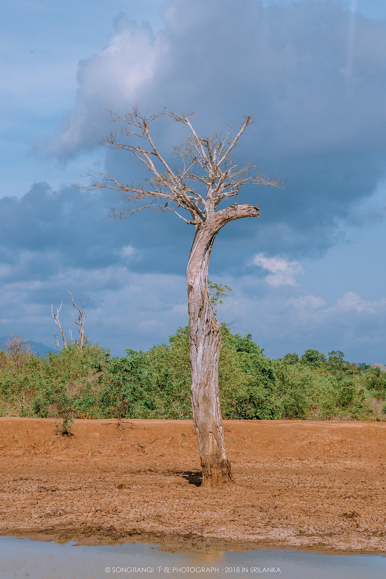 行走在印度洋上的眼泪——斯里兰卡°