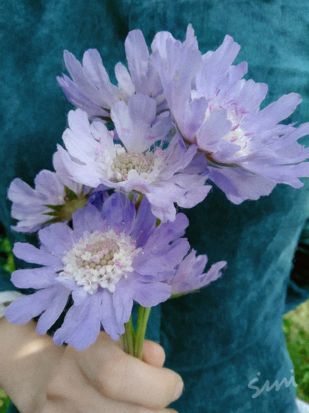 卡兹别克山的午后