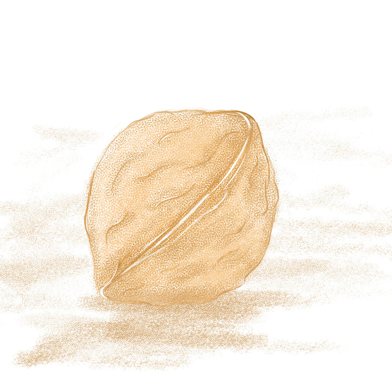 核桃|插画|创作习作|不洗头乐_原创作品-站酷zcool