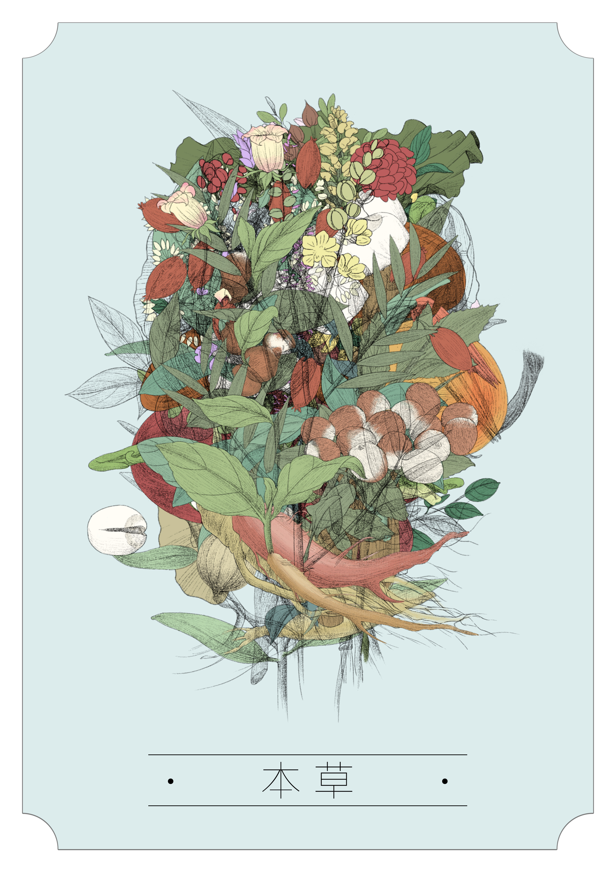 本草|插画|商业插画|wang阿南anan - 原创作品 - 站酷 (zcool)