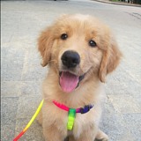 犟犟犟晓丹的头像