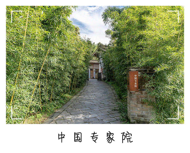 动图GIF特效 03