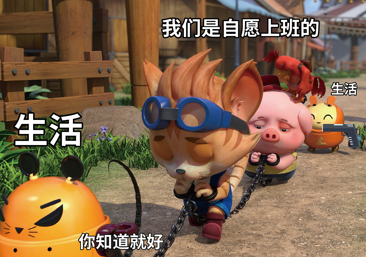 探探猫表情包:我以为我会暴富,但是我没有……